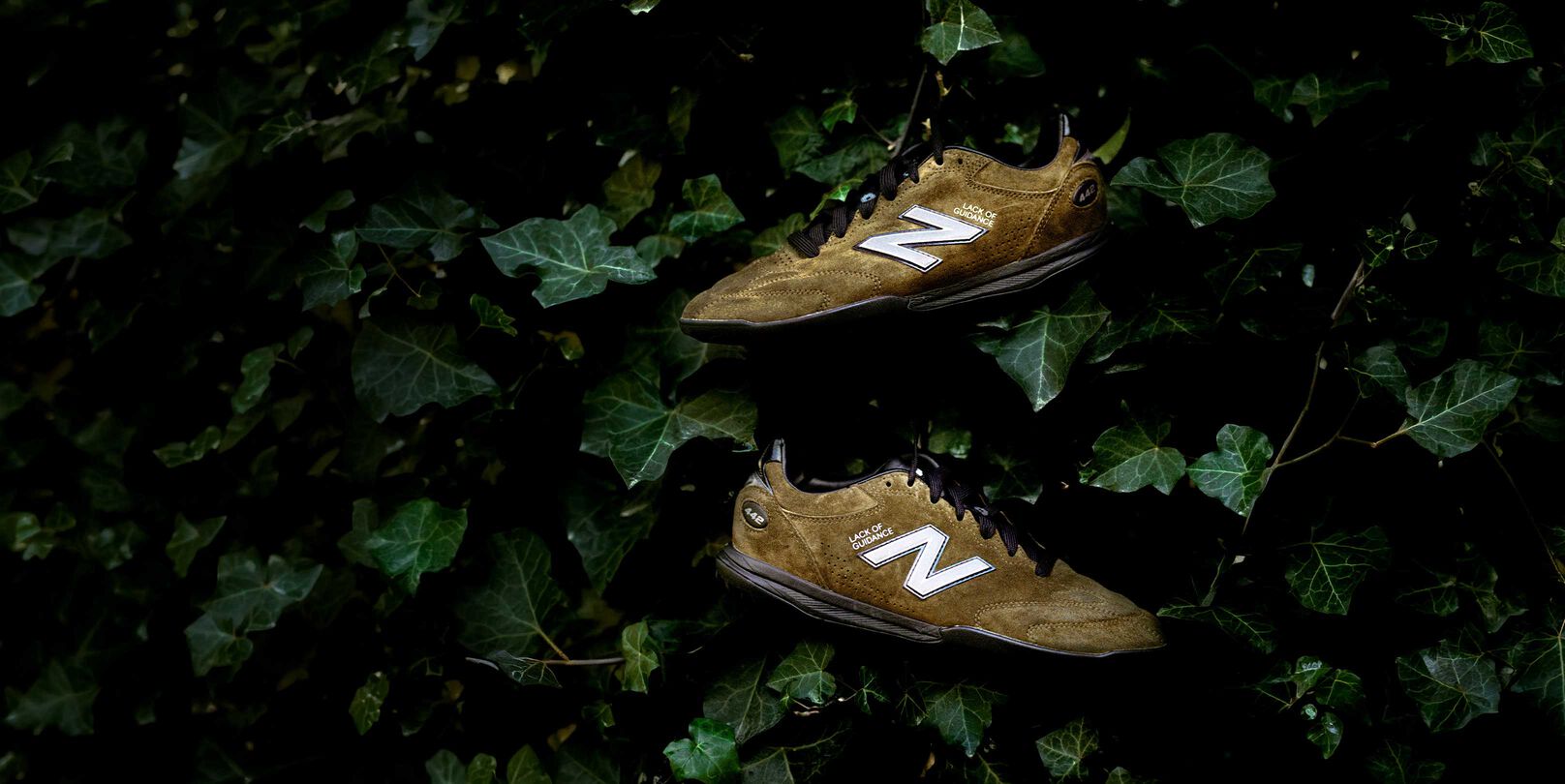 Dark green shoes in a bush.