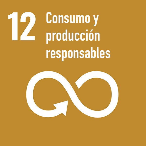 #12 consumo y producción responsables del oro