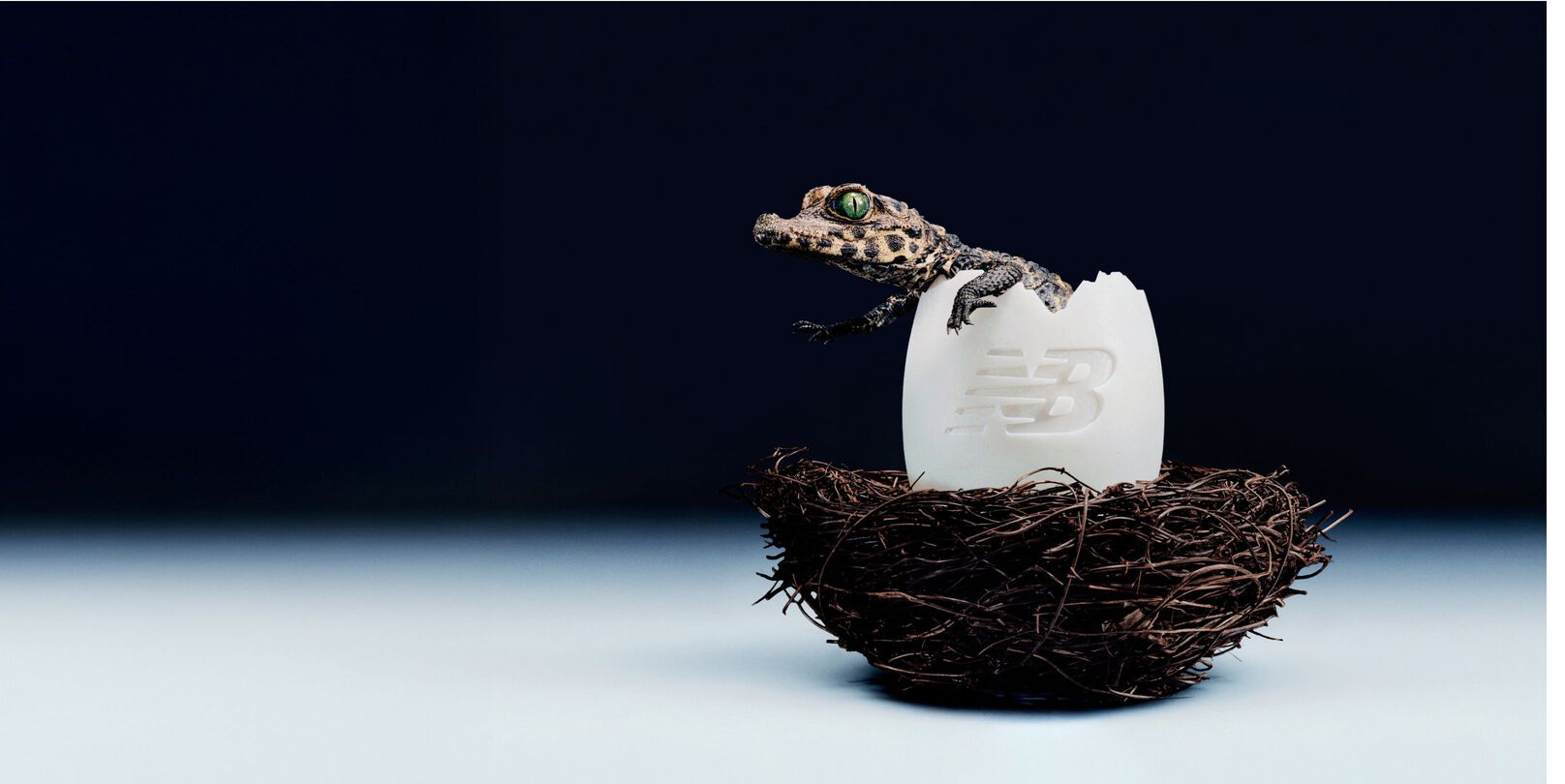 An alligator hatching out of an egg with the New Balance logo on it.