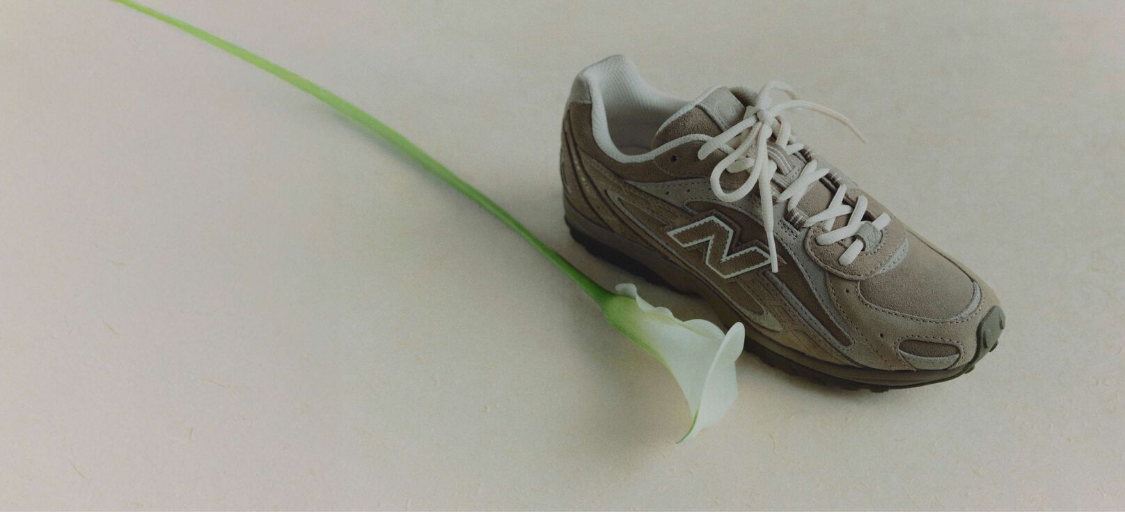 204L with a white lilly