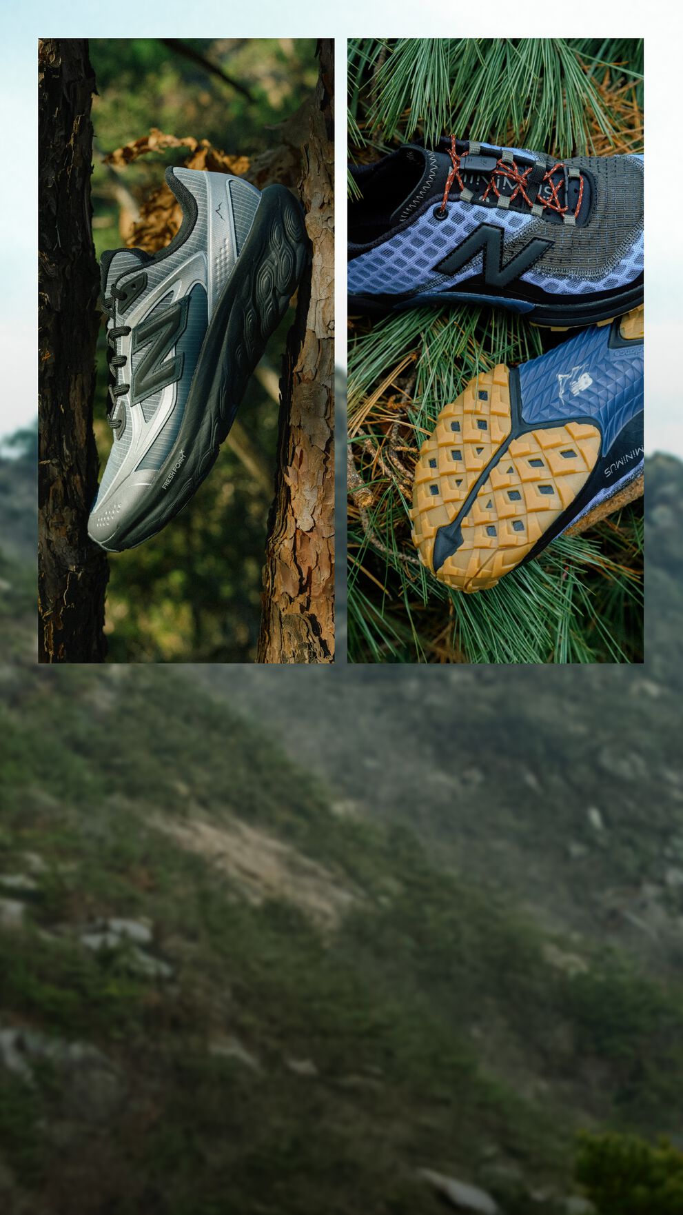 A landscape scene with mountains on the left and two close-up panels on the right showing trail running shoes placed on a tree trunk and among pine needles.