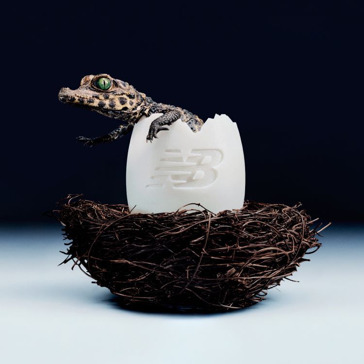 An alligator hatching out of an egg with the New Balance logo on it.